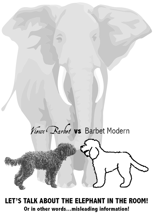 Vieux Barbet versus Barbet Moderne let's talk about the elephant in the room