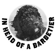 In head of a barbetier i bild med barbet Koi som avbildad valp