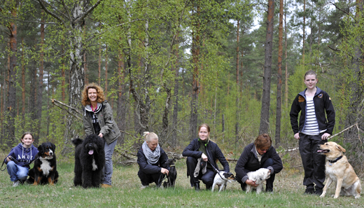 Allmänlydnadsgruppen har nosaktivitet för hundar i spårskogen