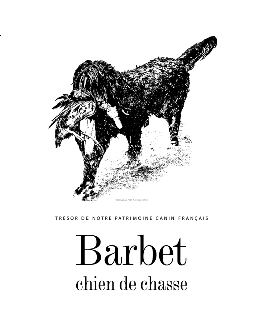 Trésor de notre patrimoine canin Français Barbet Chien de Chasse by Elaine Fichter