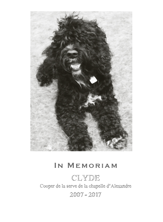 In memoriam Barbet Clyde aka Cooper