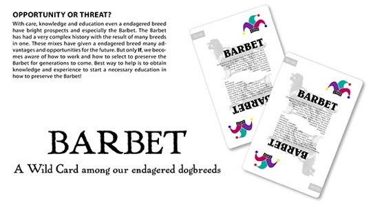 Barbet - A wild card among our endagered breeds
