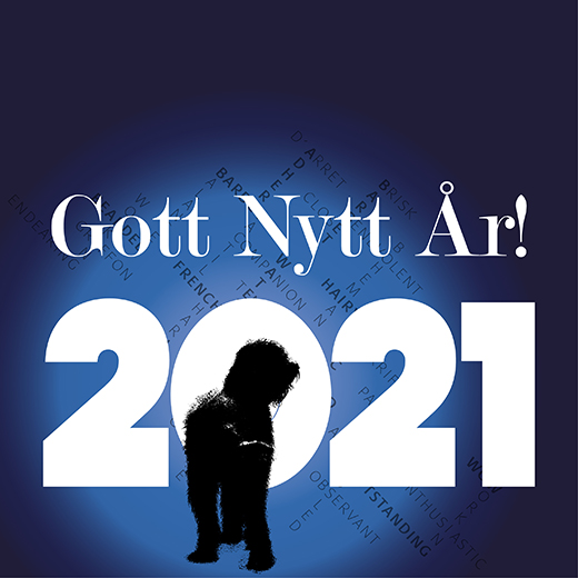 Gott Nytt 2021 hälsar barbet Koi & Co