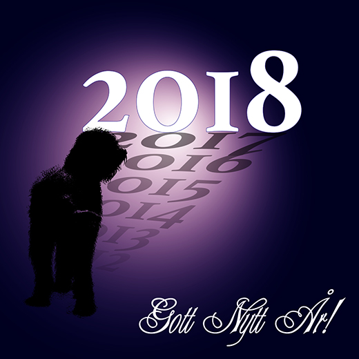 Barbet Koi vandrar framåt och hälsar gott nytt år