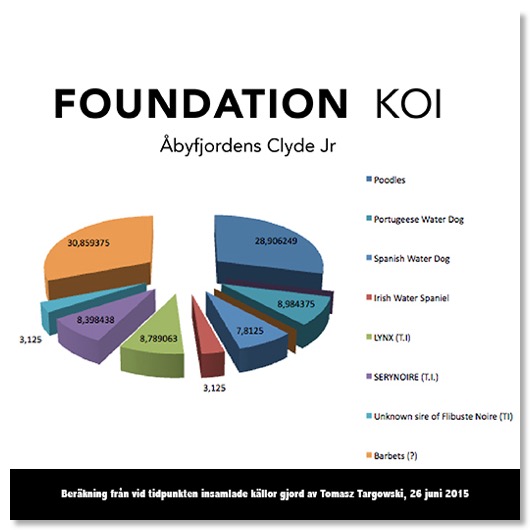 Foundation Barbet Koi i beskrivande cirkeldiagram