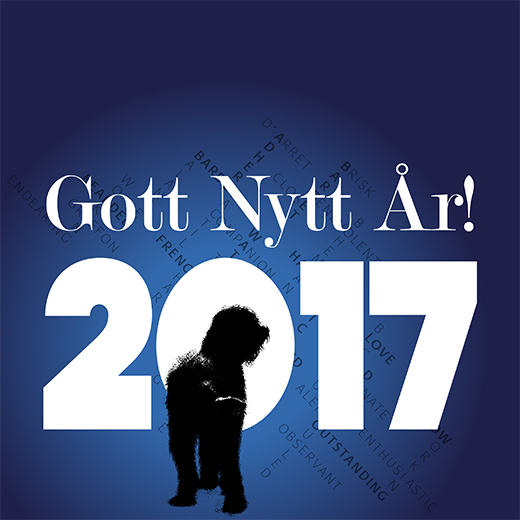 Barbet Koi hälsar Gott Nytt 2017