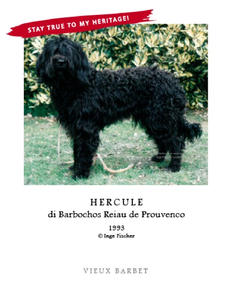 Hercule 