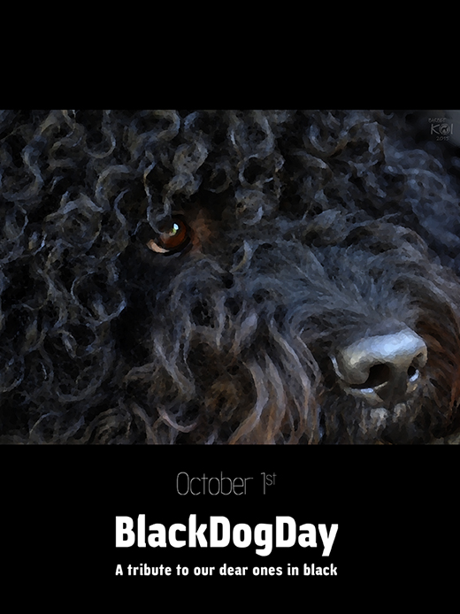 Barbet Koi och svarta hundars dag 2015