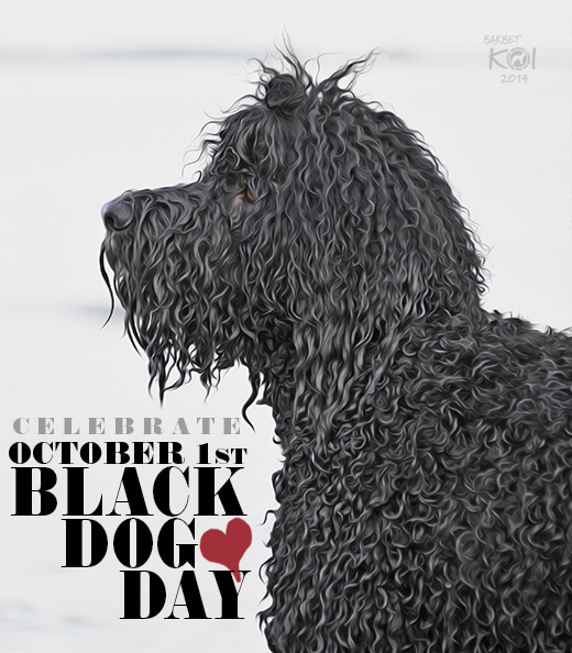 Barbet Koi på bild som firar svarta hundars dag 2014