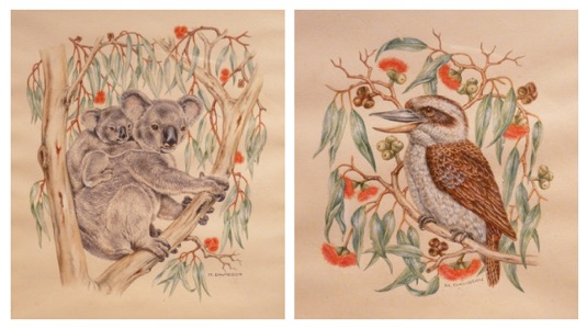 M.Davidson koala och kokaburra i akvarell