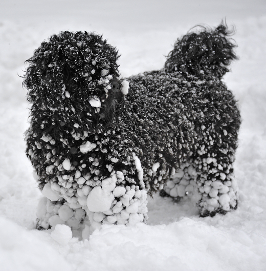 Kompisen Mac får omfattande snöproblem i dalande snö