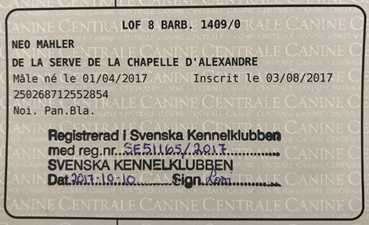 Barbet NeoMahler pedigree LOF 8 Barb 1409/0 