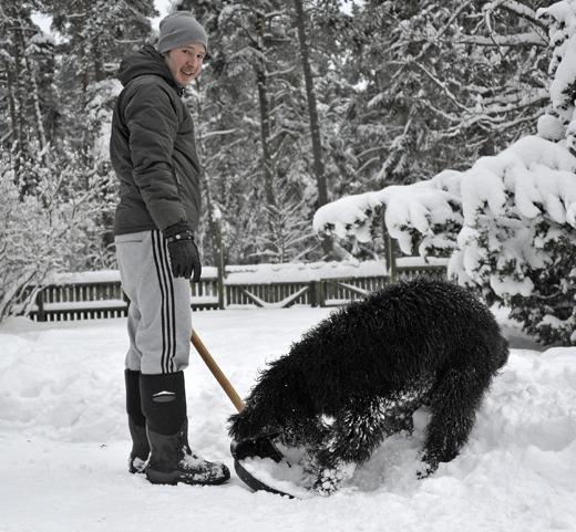 Barbet Koi hjälper Frans med snöskottningen