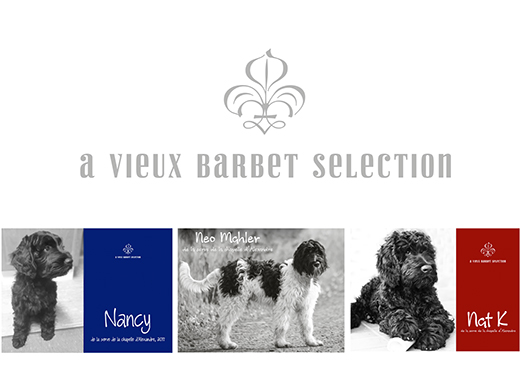 A Vieux Barbet Selection! 2017